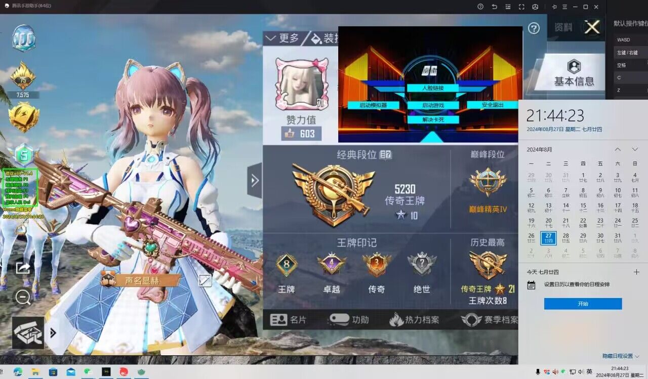 和平精英【EAD内部】辅助