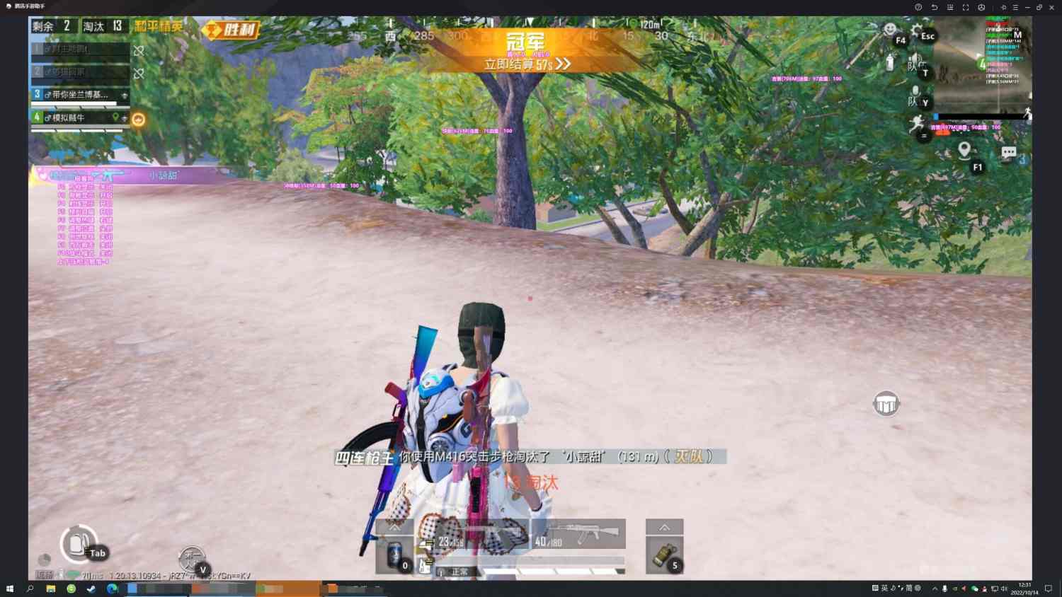 和平精英辅助【巡查员直装V1.0】人物透视 雷达预警 全车美化 枪械美化 人物加速